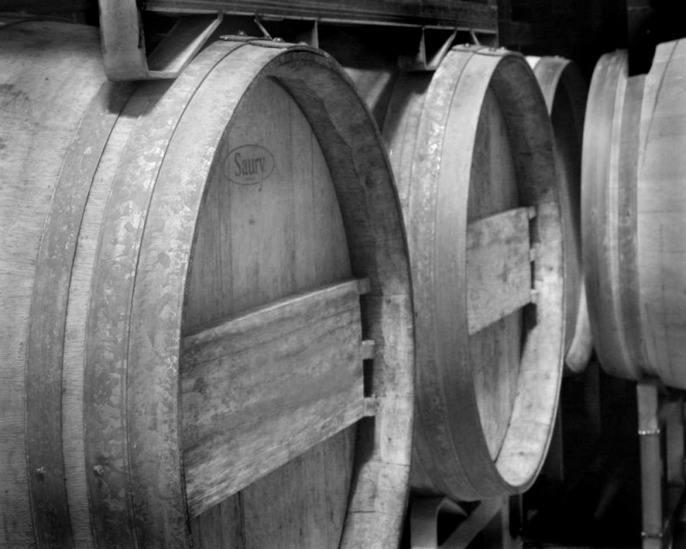 Winery IV