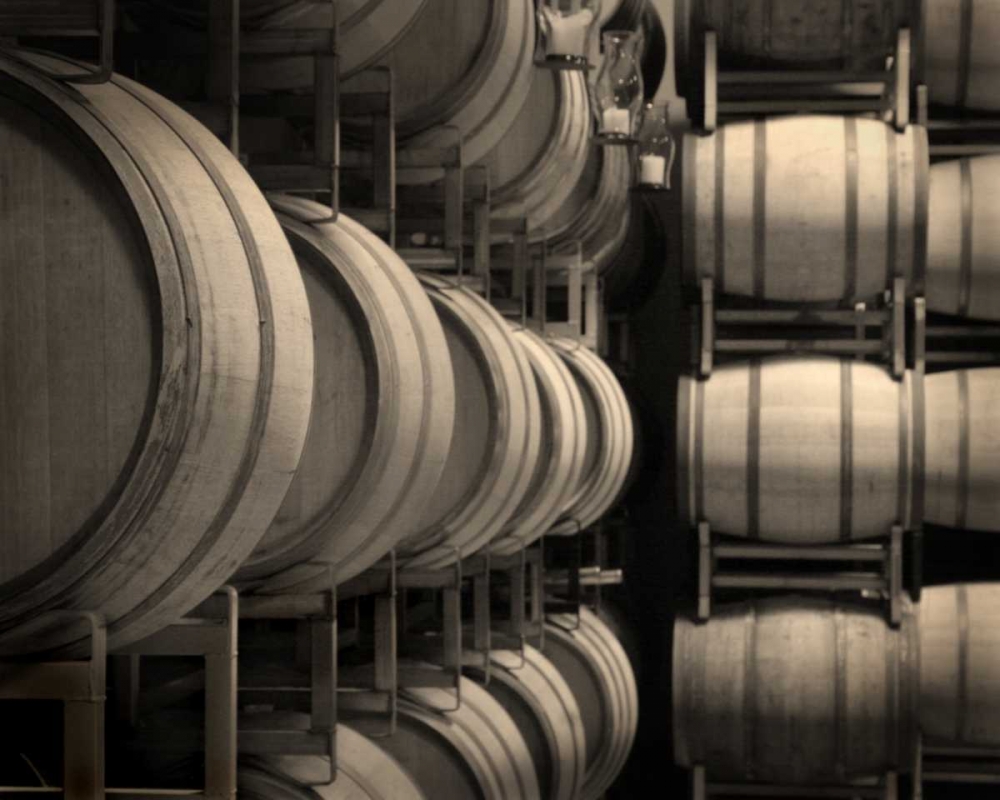 Winery VII