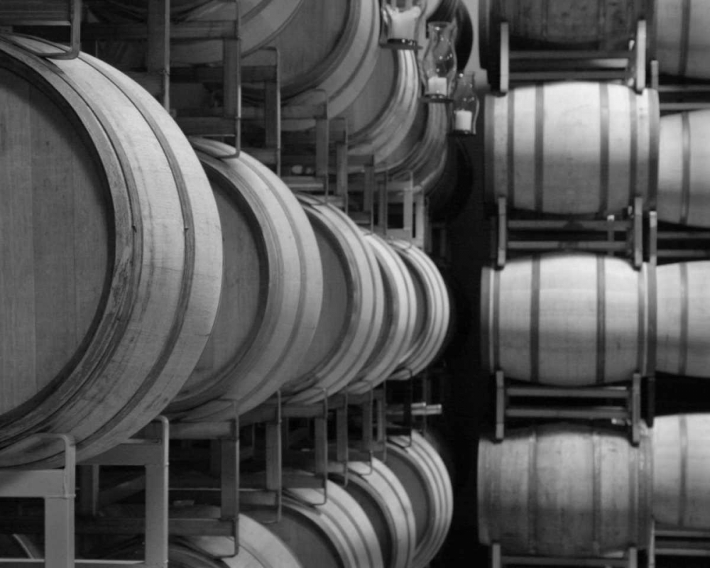 Winery VIII