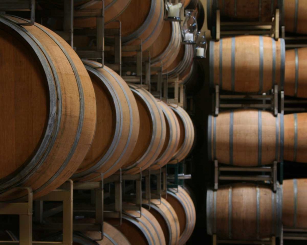 Winery IX