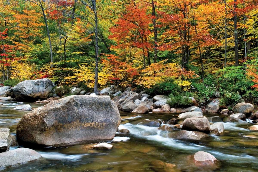 Swift River Pass Scenic