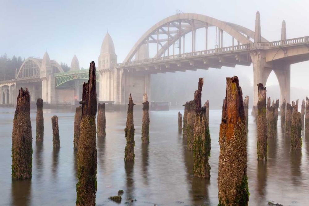 Suslaw River Bridge III