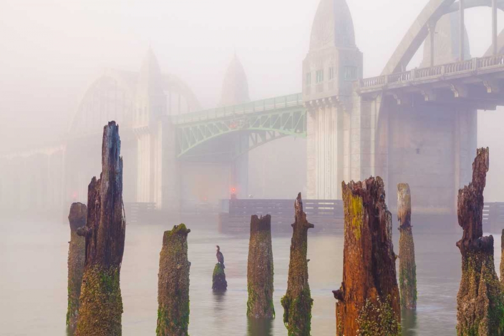 Suslaw River Bridge IV