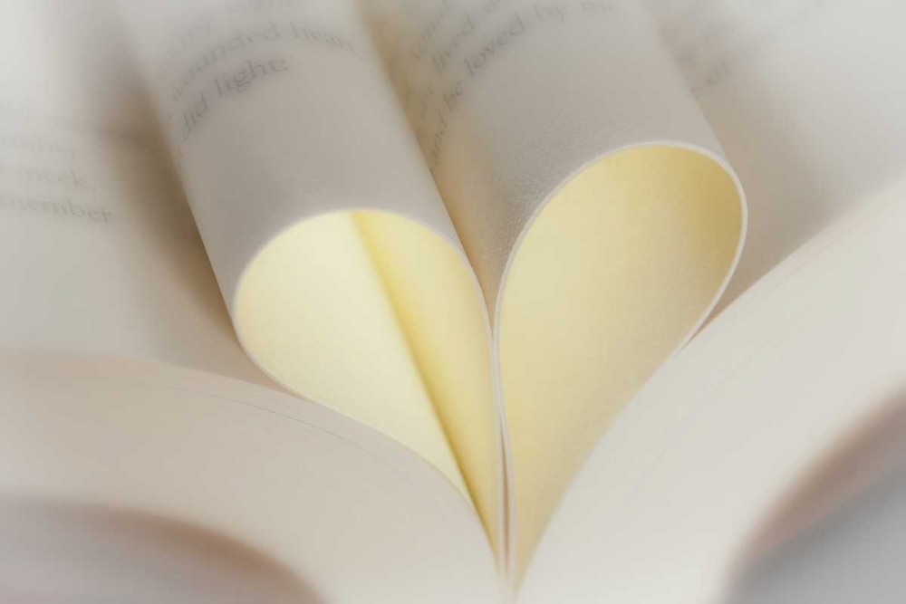 Love Reading II