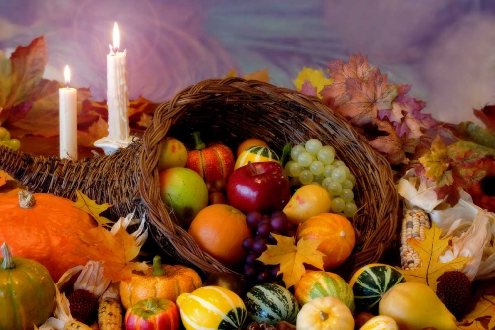 Cornucopia I