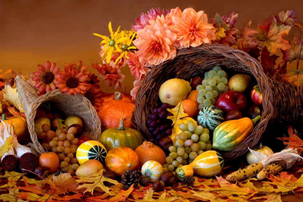 Cornucopia II