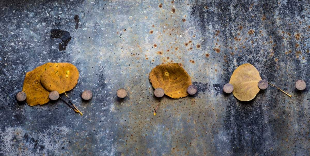 Corroded Metal I