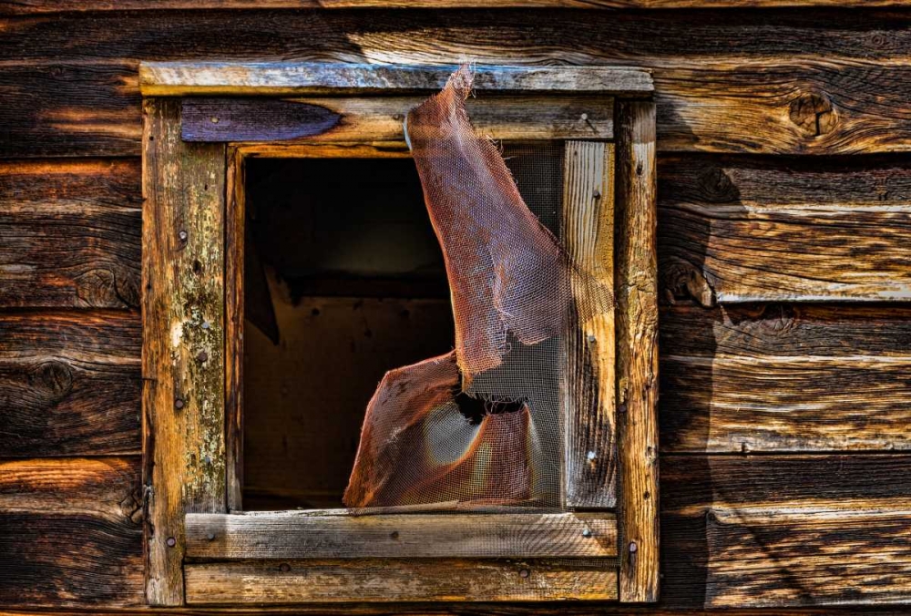 Cabin Window