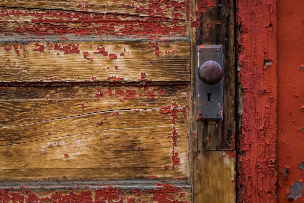 Weathered Door I