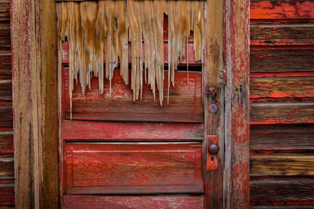 Weathered Door III