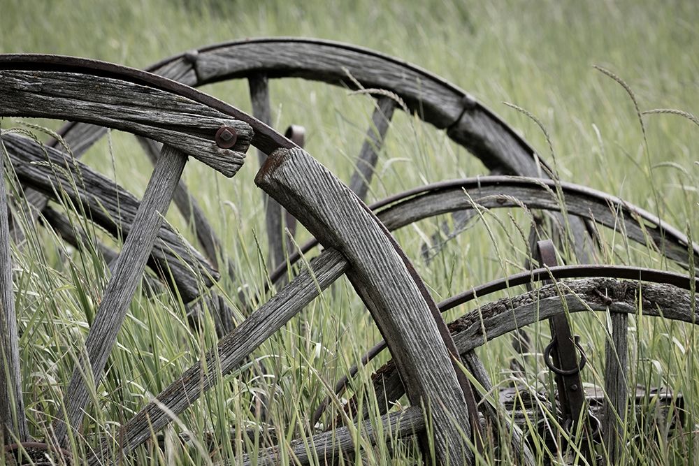 Old Wagon Wheels I