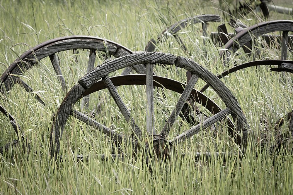 Ole Wagon Wheels II