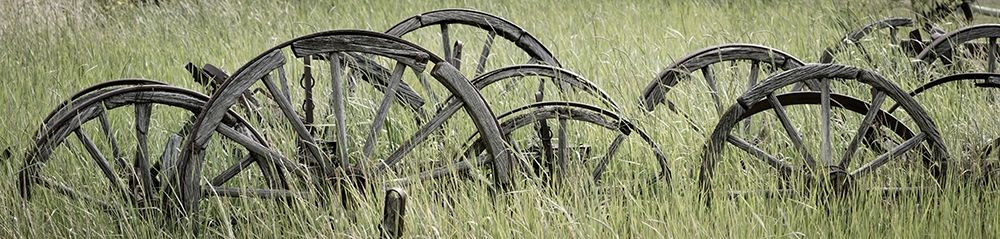 Old Wagon Wheels III