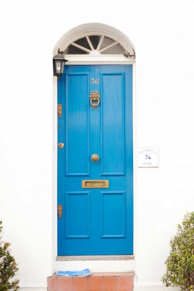 Blue Door