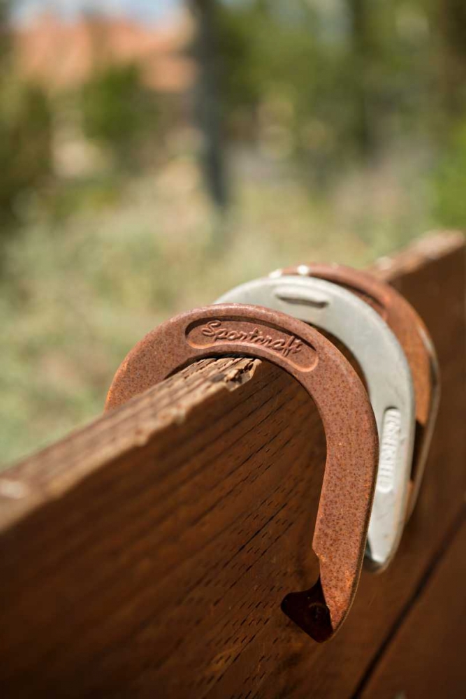 Horse Shoes