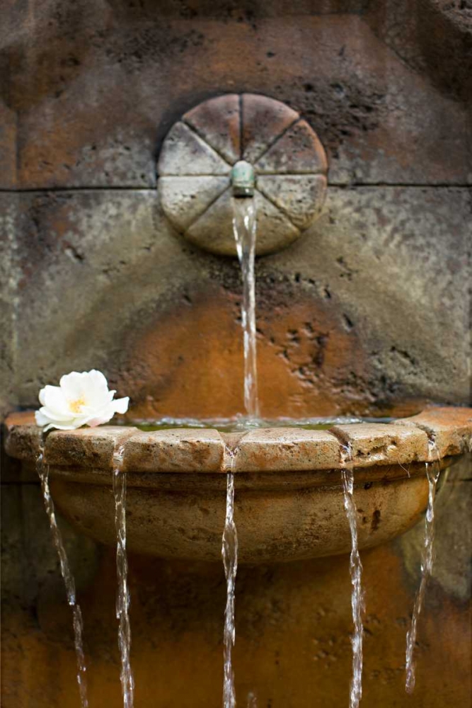 Fountain I