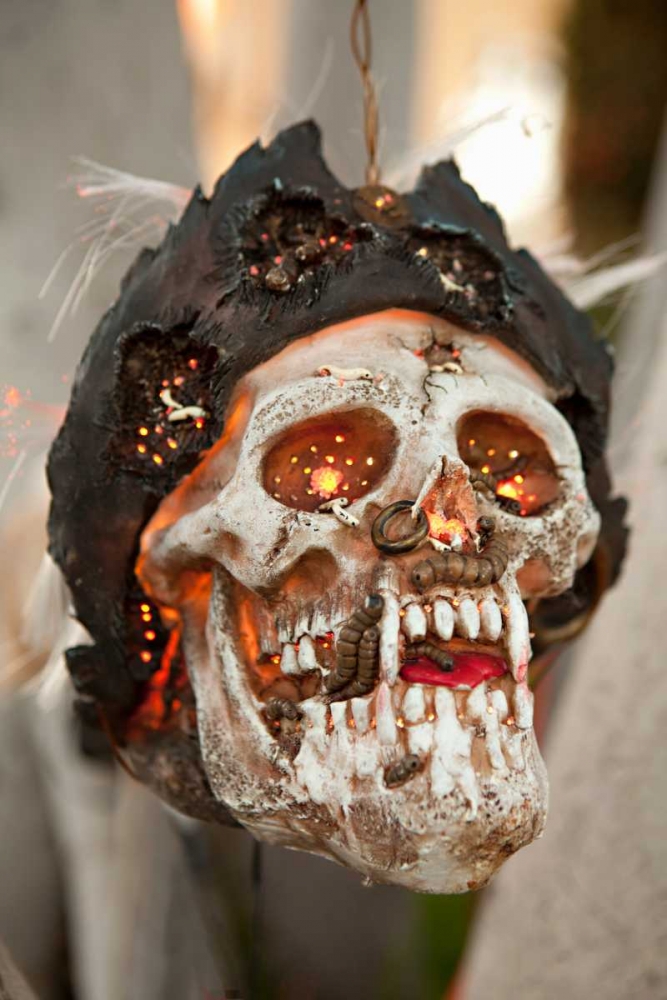 Pirate Skull