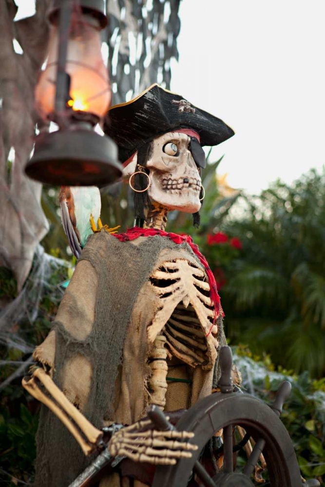 Pirate Skull II