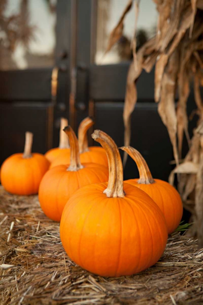 Pumpkins II