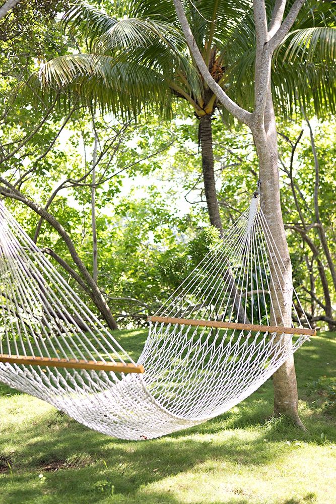 Tropical Siesta