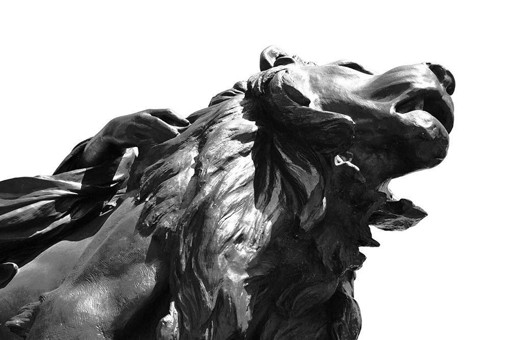 Stone Lion