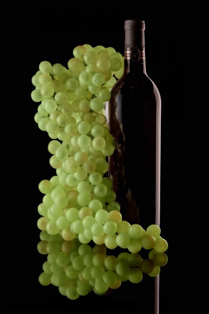 Wine Reflections III