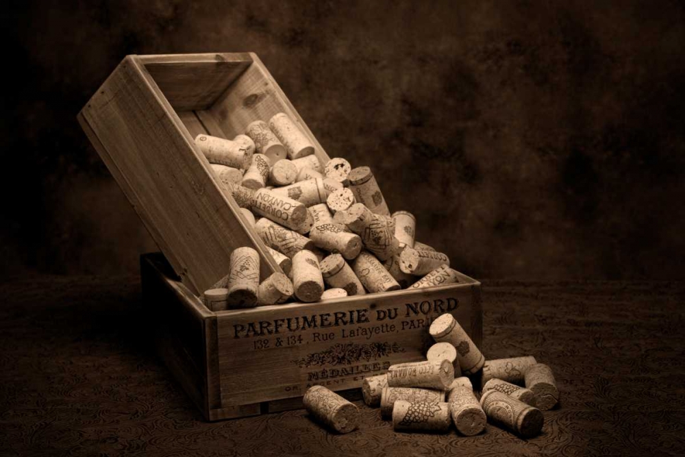 Wine Corks Still Life I