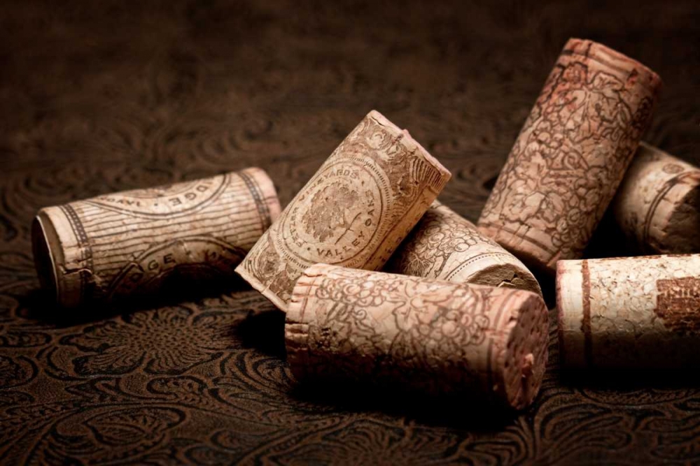 Wine Corks Still Life III