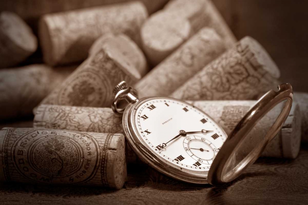 Wine Corks Still Life V
