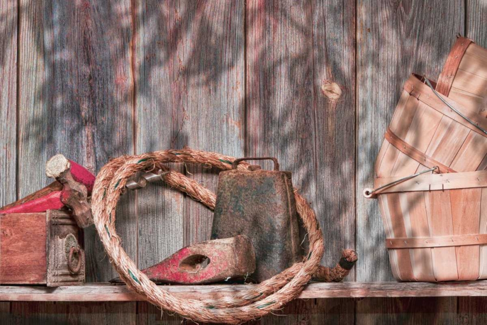 Out in the Barn IV