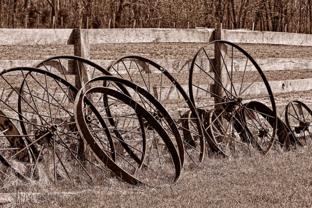 Antique Wagon Wheels I