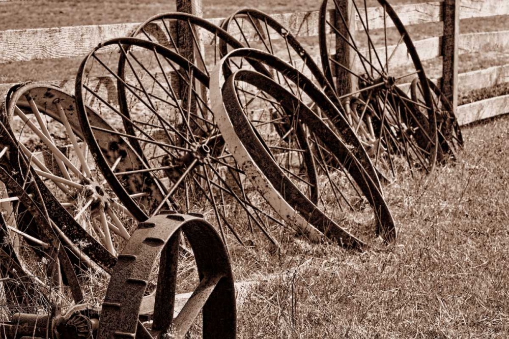 Antique Wagon Wheels II