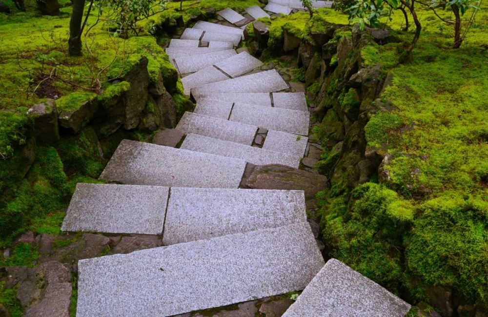 Steps I