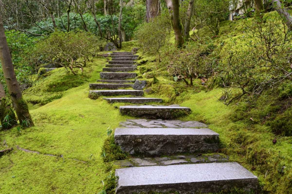 Steps II