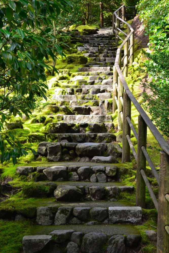 Steps III