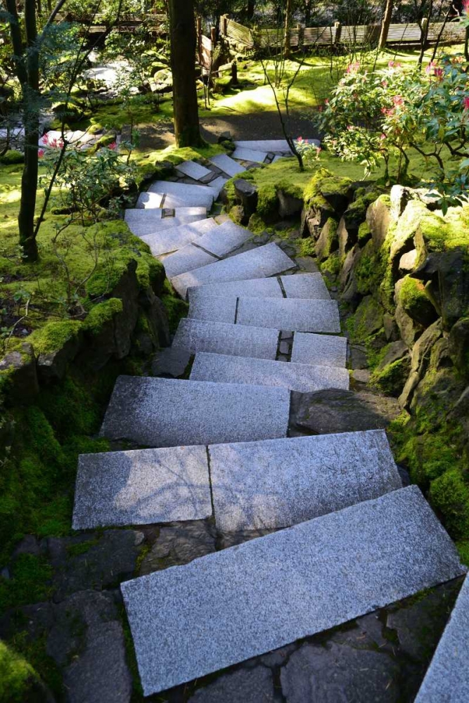 Steps IV