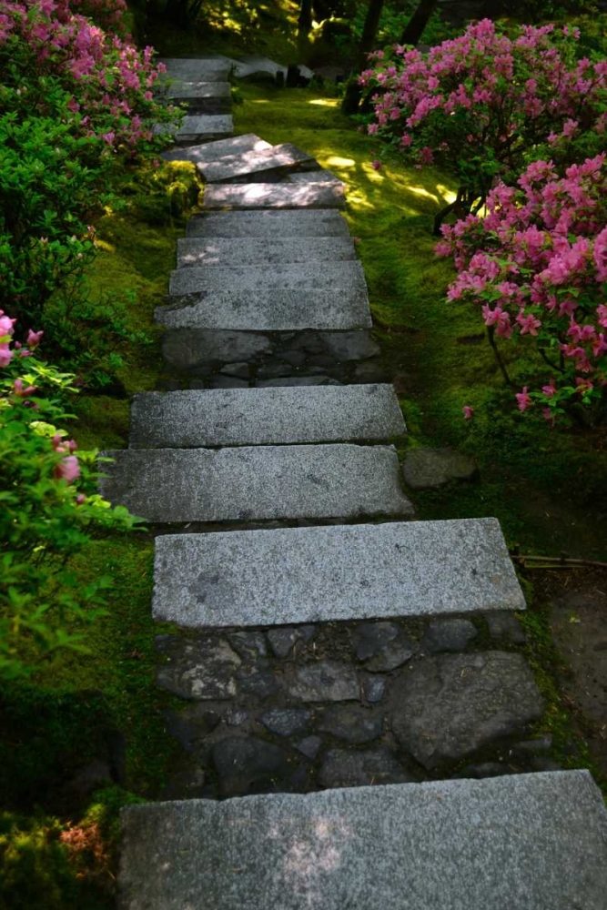 Garden Stairs I