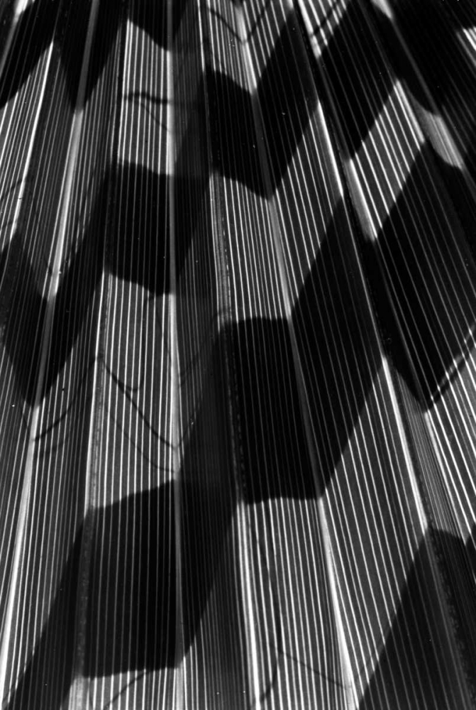 Shadow I