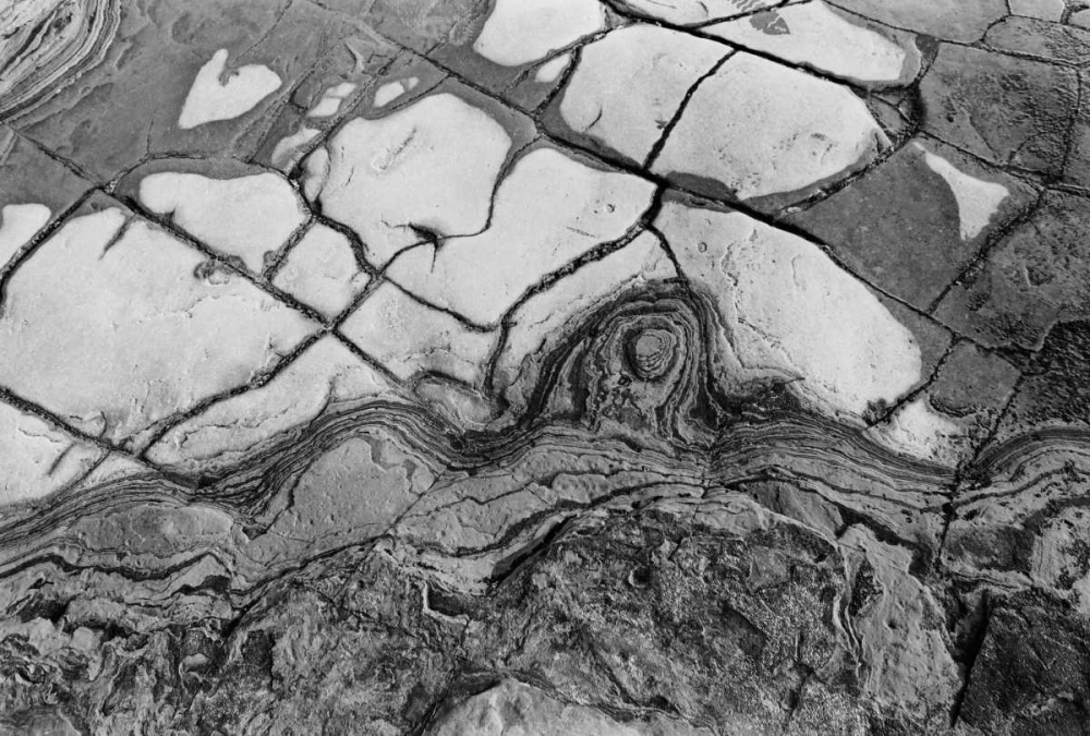 Texture I