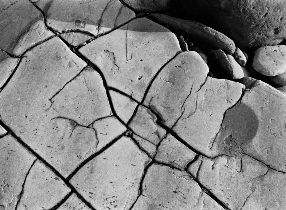 Texture II