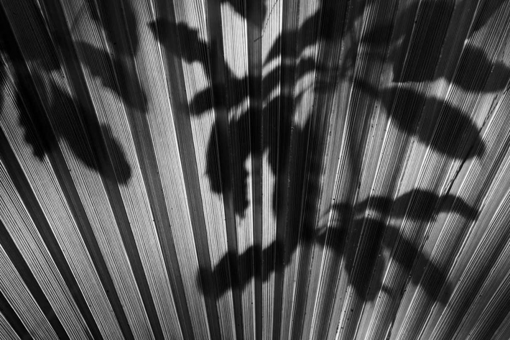 Shadow III