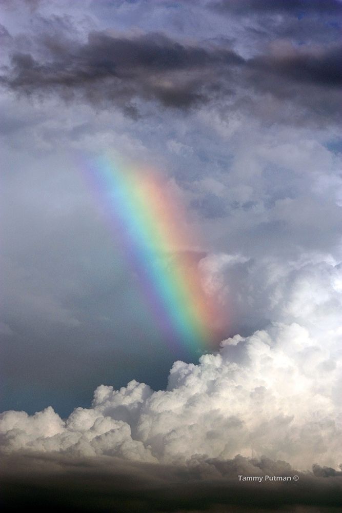 Rainbow in the Clouds