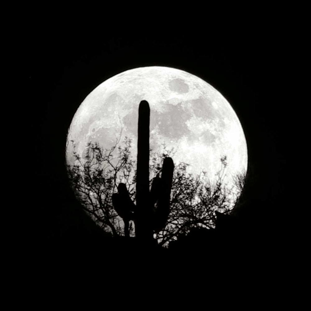 Moonrise in May II