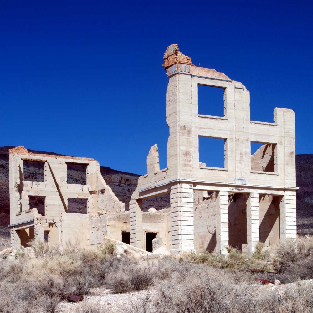 Rhyolite Ruin I