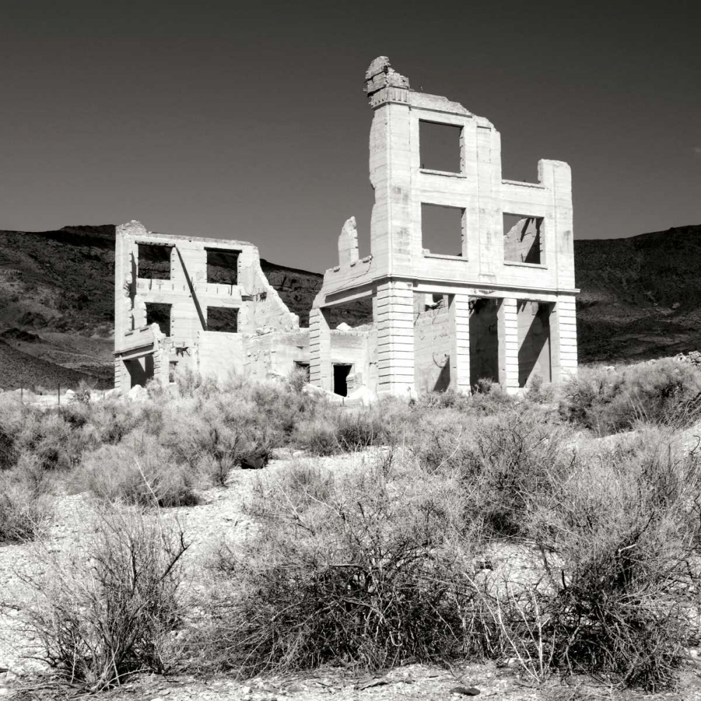Rhyolite Ruin II BW