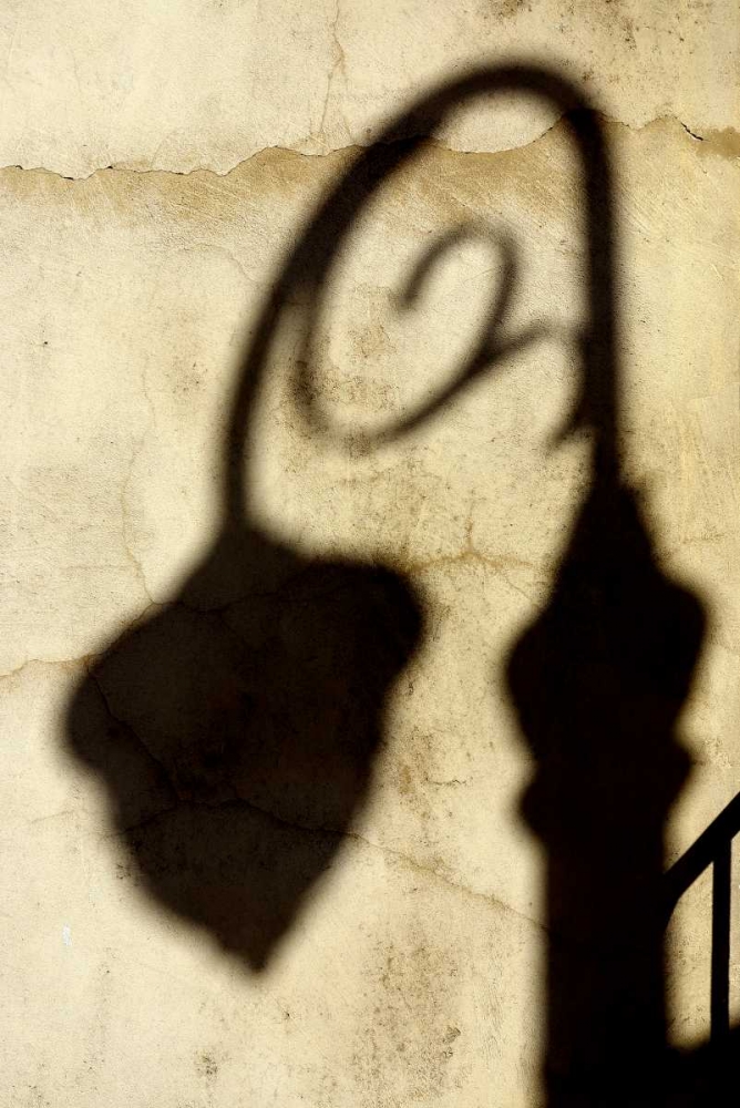 Shadow of Light