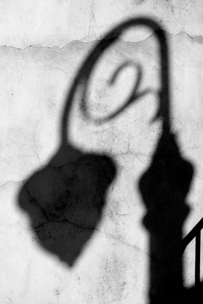 Shadow of Light BW