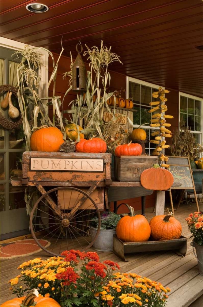 Autumn Harvest I