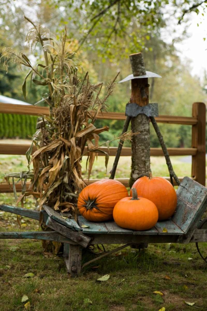 Autumn Harvest II