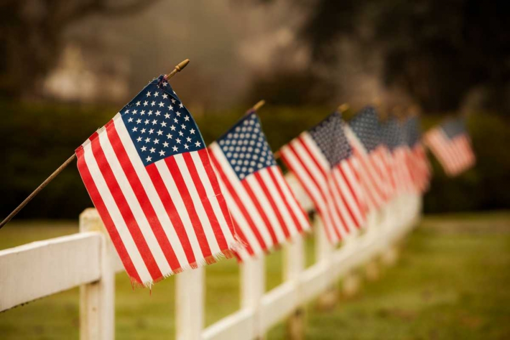 Flags I